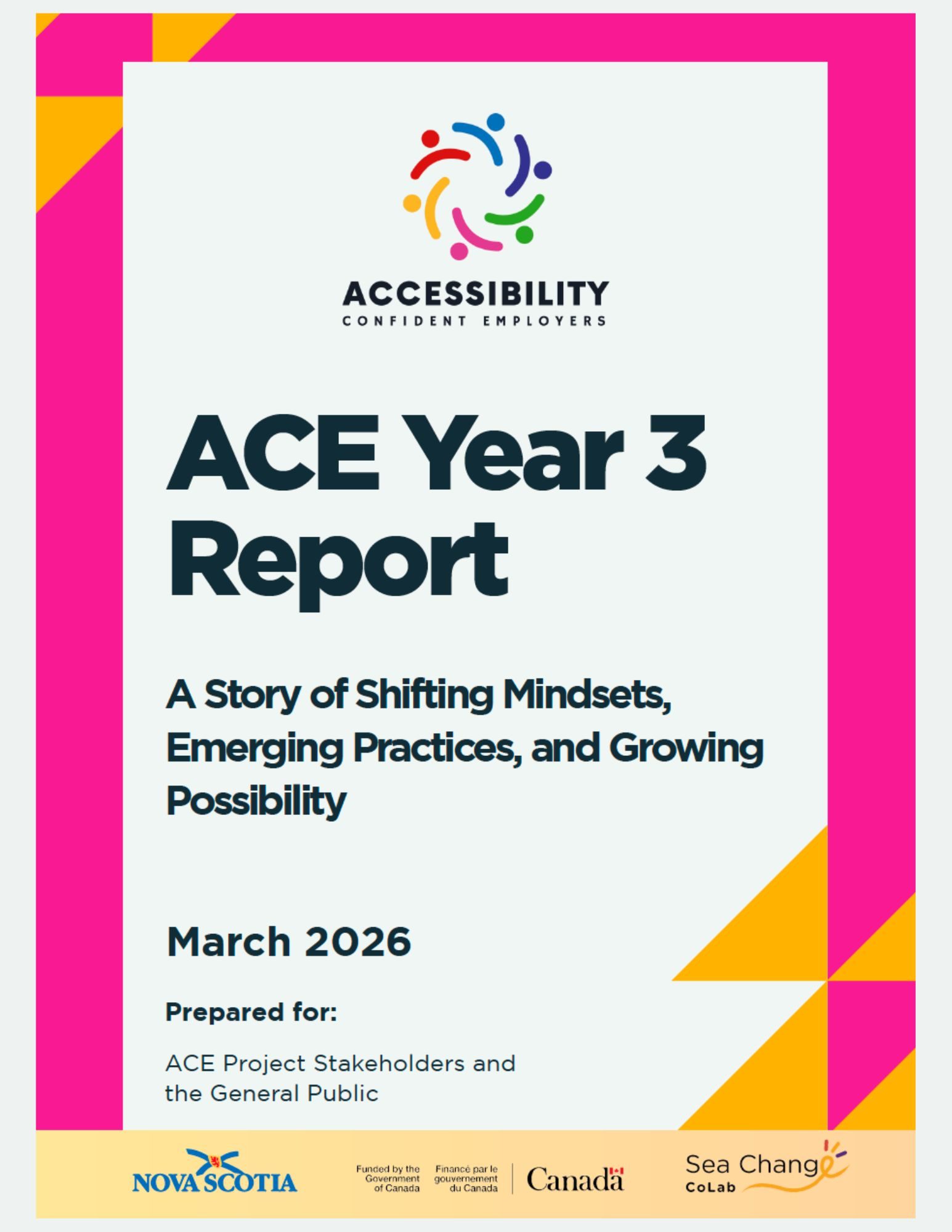 ACE Year 3 Report Cover Photo